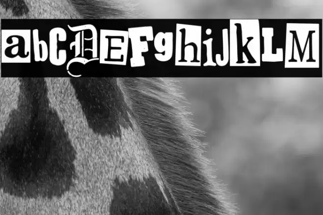 Spanish Faith Font examples