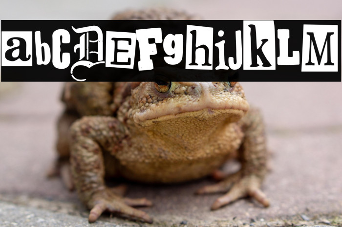 Spanish Faith Example 2