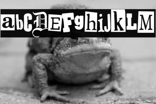 Spanish Faith Font examples