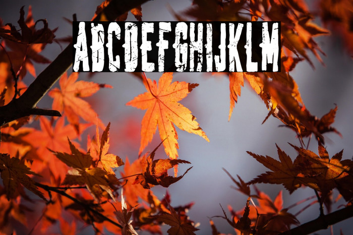 Spanish Joker Example 2