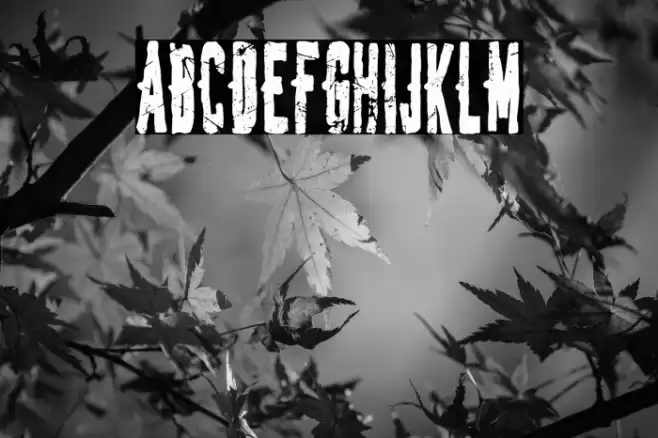 Spanish Joker Font examples