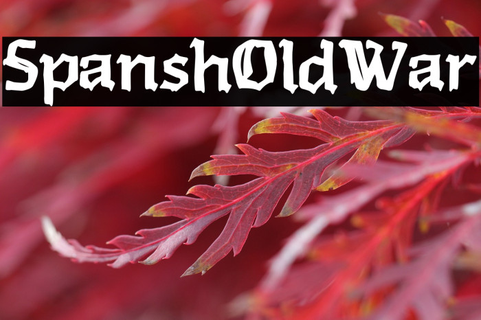 Spanish Old War Example 2