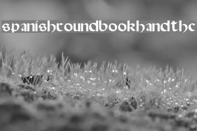 Spanish-Round-Bookhand--16th-c- Font examples