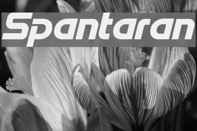 Spantaran Font examples