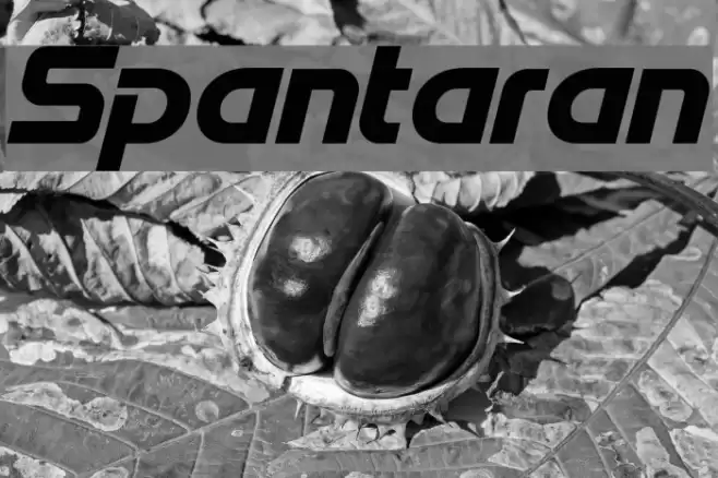 Spantaran Font examples