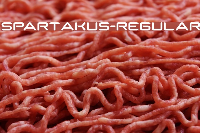 SparTakus-Regular फ़ॉन्ट examples