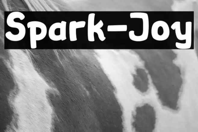 Spark-Joy Font examples