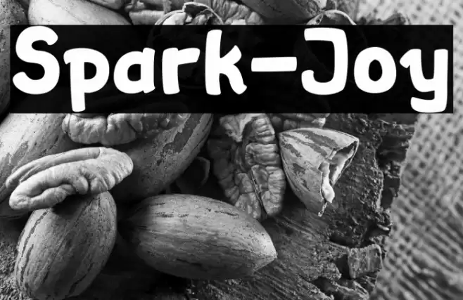 Spark-Joy Font examples
