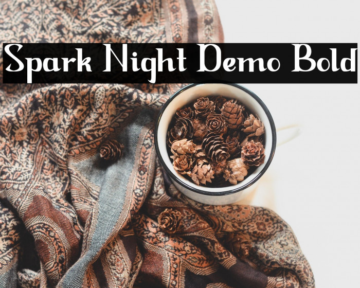 Spark Night Demo Bold Example 3