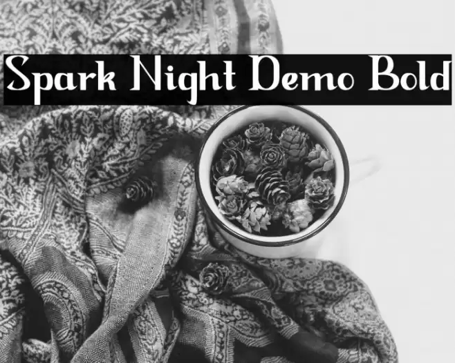 Spark Night Demo Bold Font examples