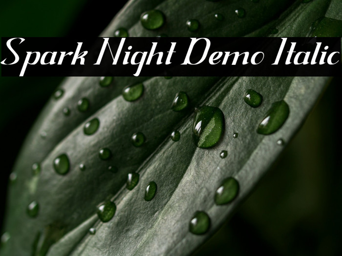 Spark Night Demo Italic Example 1