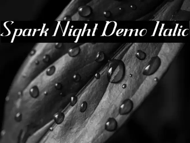 Spark Night Demo Italic Font examples