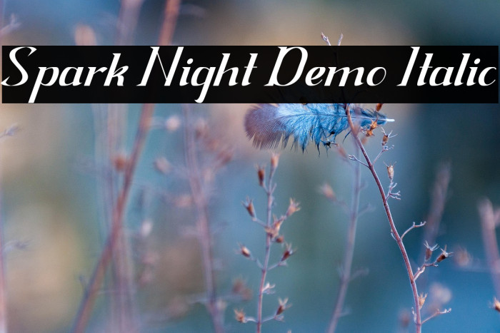 Spark Night Demo Italic Example 2