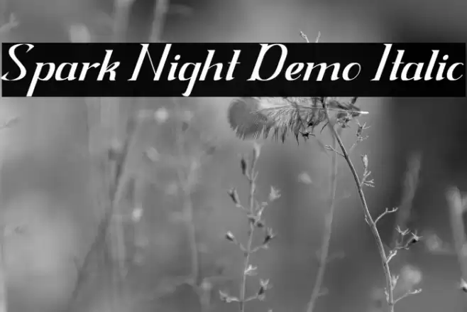 Spark Night Demo Italic Font examples