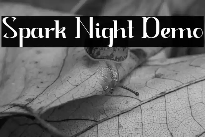 Spark Night Demo Font examples