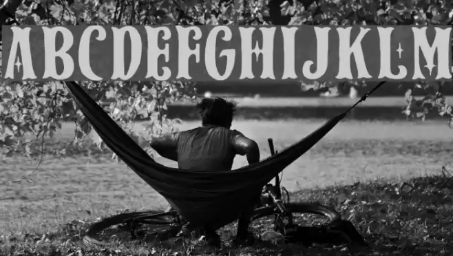 Spark Plug Serif DEMO Regular Font examples