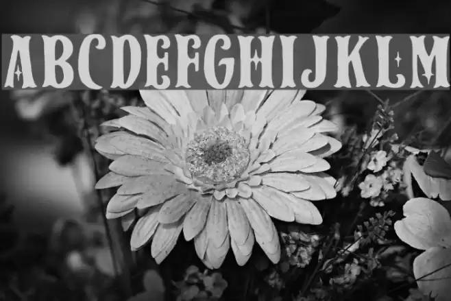 Spark Plug Serif DEMO Regular Font examples