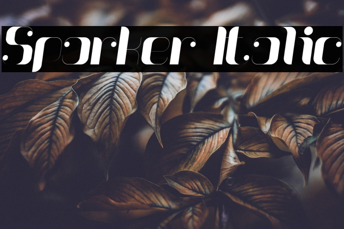Sparker Italic Example 1
