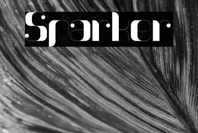 Sparker Font examples
