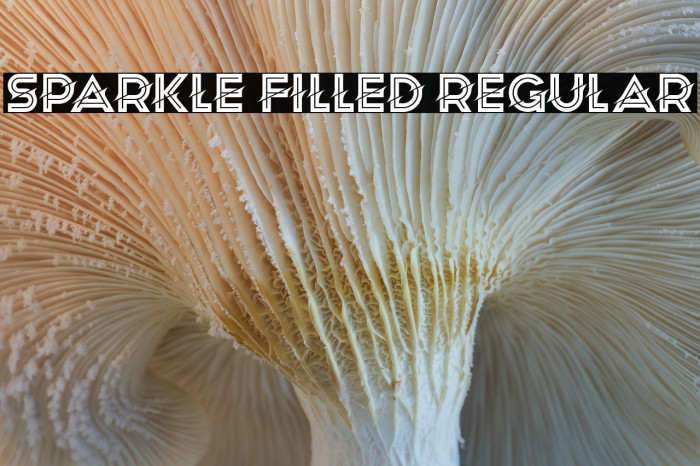 Sparkle Filled Regular Example 3