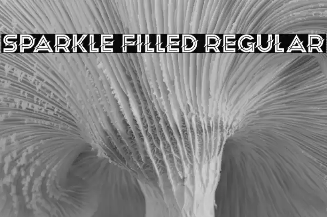 Sparkle Filled Regular Font examples