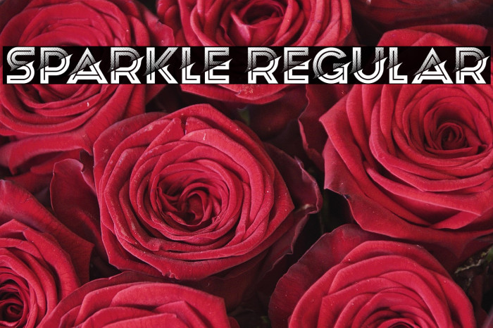 Sparkle Regular Example 1