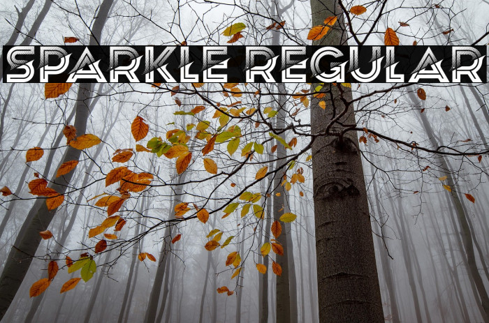 Sparkle Regular Example 2