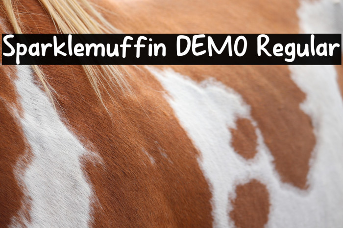 Sparklemuffin DEMO Regular Example 1