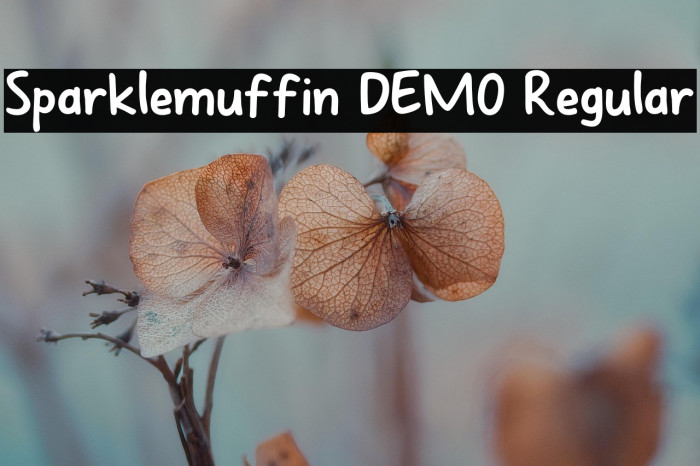 Sparklemuffin DEMO Regular Example 2