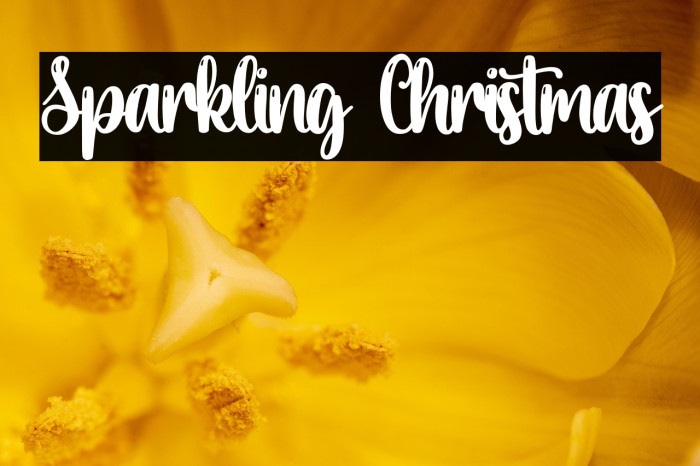 Sparkling Christmas Example 2