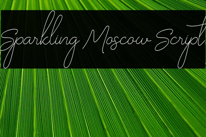Sparkling Moscow Script Example 1