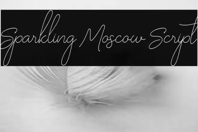 Sparkling Moscow Script Font examples