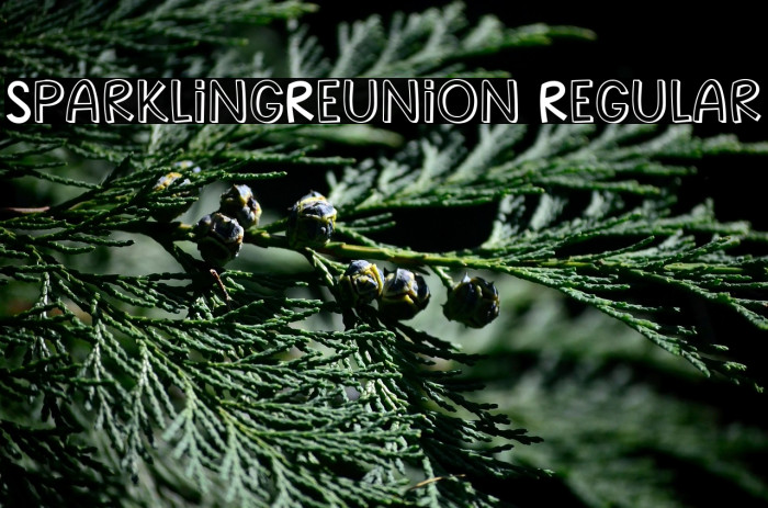 SparklingReunion Regular Example 1