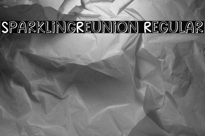 SparklingReunion Regular Example 2