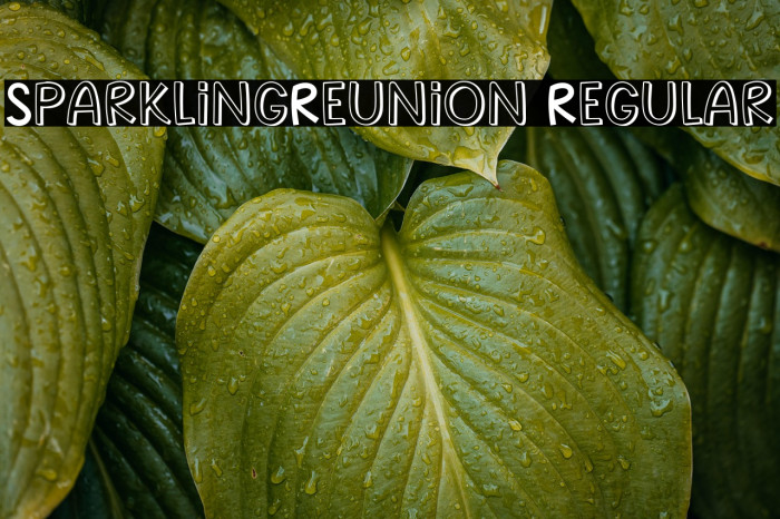 SparklingReunion Regular Example 3