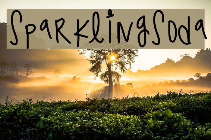 SparklingSoda Example 1