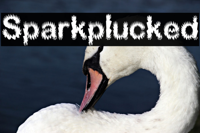 Sparkplucked Font examples