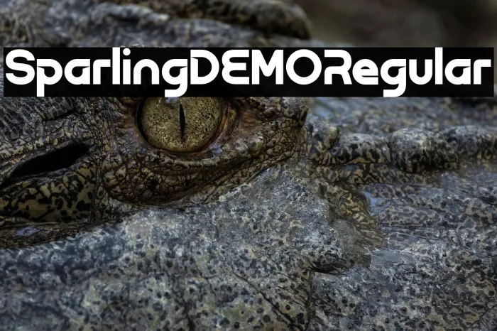 Sparling DEMO Regular Example 2