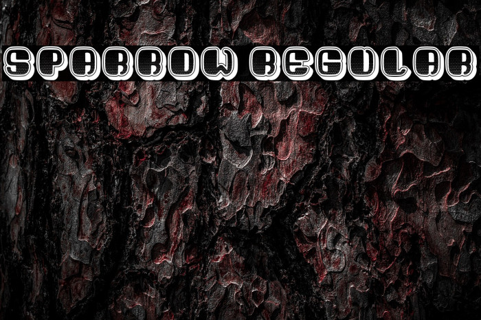 Sparrow Regular Example 1