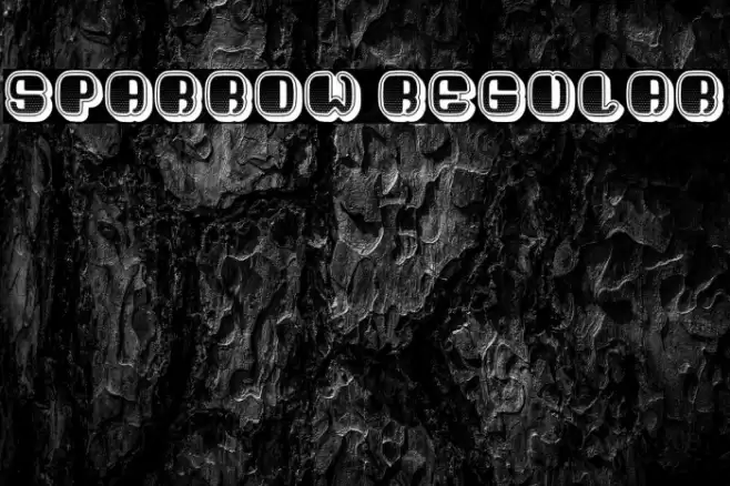 Sparrow Regular Font examples