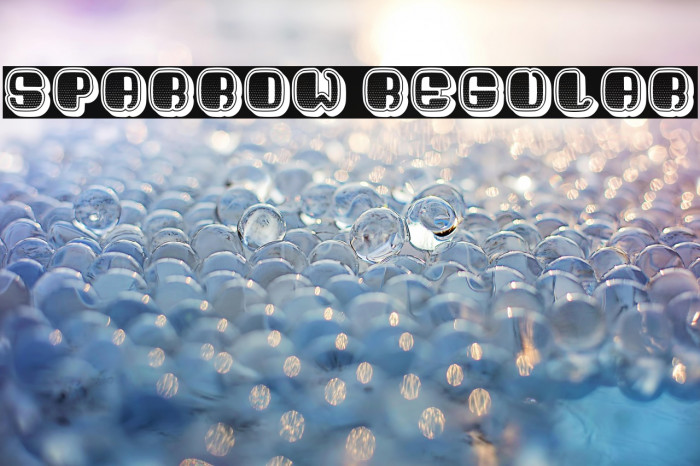 Sparrow Regular Example 3