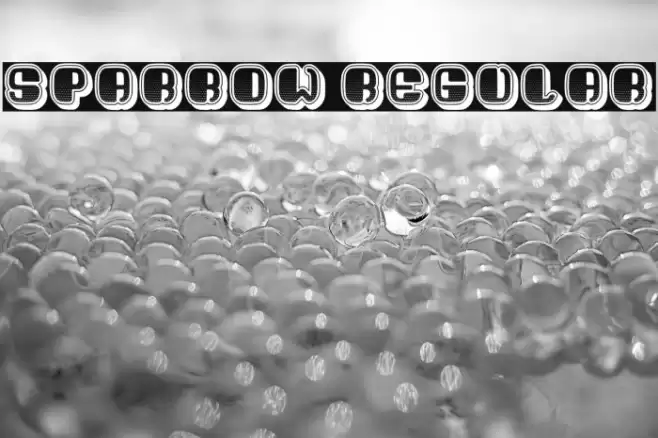 Sparrow Regular Font examples