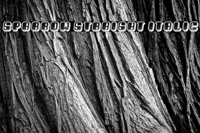 Sparrow Straight Italic Example 1