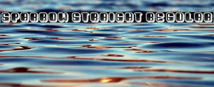 Sparrow Straight Regular Example 1