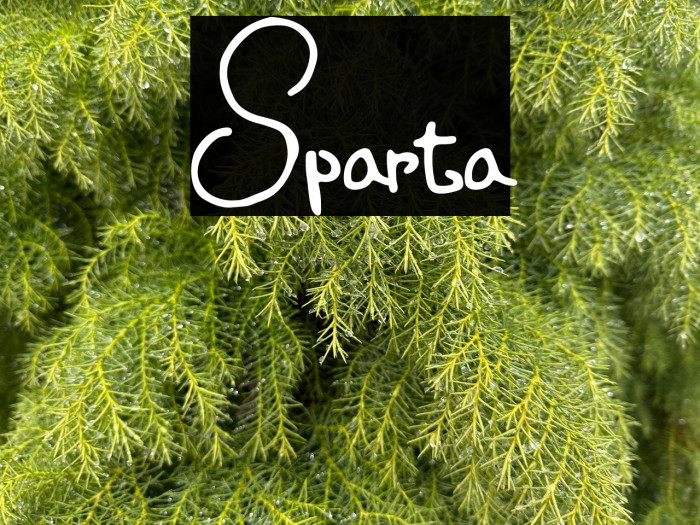 Sparta Example 1