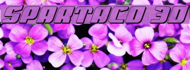 Spartaco 3D Example 1