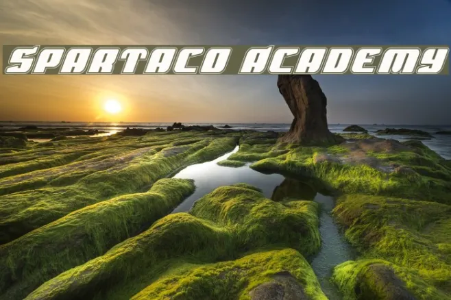 Spartaco Academy Example 3