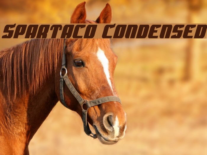 Spartaco Condensed Font examples