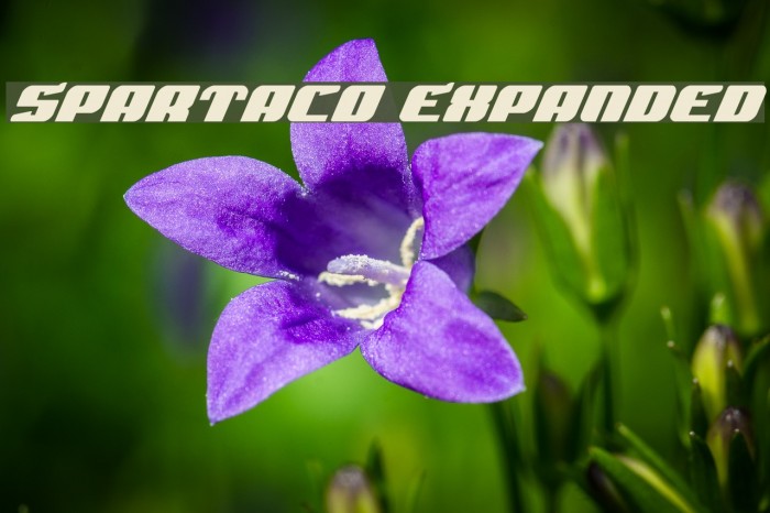 Spartaco Expanded Fonte examples