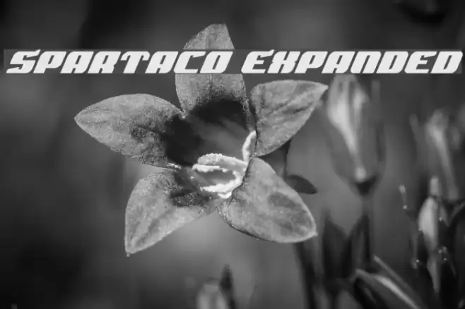 Spartaco Expanded Fonte examples